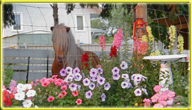 PoohBear & Petunias